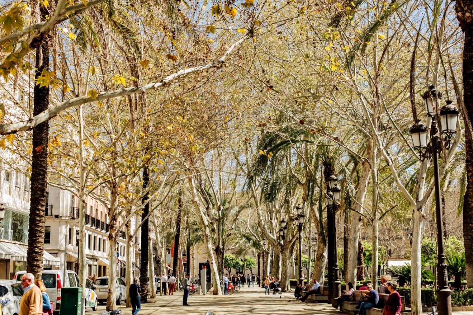 Plaza De La Magdalena I, Sevilla Centro Historico ภายนอก รูปภาพ